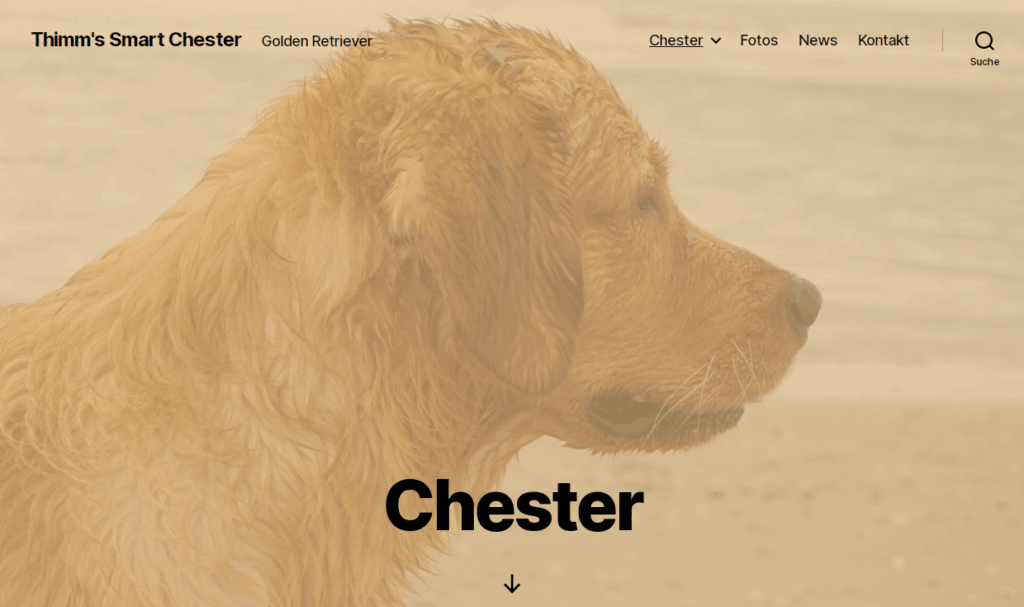 Webseite Chester